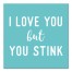 I Love You But You Stink 16x16 Canvas Wall Art