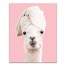 Pampered Llama 16x20 Canvas Wall Art
