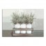 Mason Jar Greenery 24x36 Canvas Wall Art