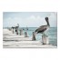 Perched Pelican 20x30 Canvas Wall Art