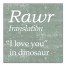 Rawr Translation 12x12 Canvas Wall Art