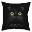 Scaredy Cat 18x18 Spun Poly Pillow