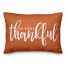 So Very Thankful 14x20 Spun Poly Pillow