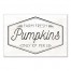 Farm Fresh Pumpkins 16x24 Canvas Wall Art