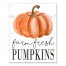 Farm Fresh Pumpkins 16x20 Canvas Wall Art