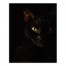 Creepy Cat 16x20 Canvas Wall Art