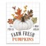 Farm Fresh Pumpkins 16x20 Canvas Wall Art