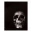 Black and White Skull 16x20 Canvas Wall Art