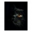 Black Cat 16x20 Canvas Wall Art