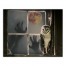 Creepy Hands Barn Window 16x20 Canvas Wall Art