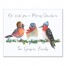 Winter Birds Personalized 16x20 Personalized Canvas Wall Art