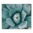 Agave 30x40 Tapestry