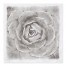 Grey Succulent 57x57 Tapestry