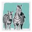 Teal Zebras 57x57 Tapestry