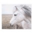 White Horse 30x40 Tapestry
