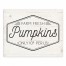 Farm Fresh Pumpkin Stand 8x10 Tabletop Canvas