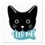 Feed Me Cat 6x6 Tabletop Canvas