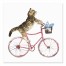 Cat on Bike 6x6 Tabletop Canvas