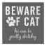 Sketchy Cat 12x12 Canvas Wall Art