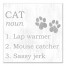 Cat Definition 12x12 Canvas Wall Art