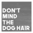Don't Mind the Dog Hair 12x12 Canvas Wall Art