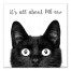 It's All about ME-ow 12x12 Canvas Wall Art