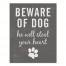 Dog Will Steal Your Heart 11x14 Canvas Wall Art