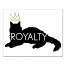 Royalty Cat 11x14 Canvas Wall Art