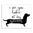 I See You Looking 11x14 Canvas Wall Art