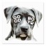 Good Boy Sunglasses 6x6 Tabletop Canvas