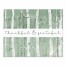 Thankful & Grateful Birch Trees 8x10 Tabletop Canvas