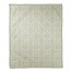 Fall Sage Pattern 50x60 Coral Fleece Blanket