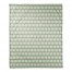 Fall Sage Pumpkin Pattern 50x60 Coral Fleece Blanket
