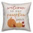Welcome to our Pumpkin Patch Pillow