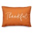 Thankful Blessed Reversible Pillow