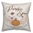 Pumpkin Spice and everything nice Pillow