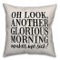 Oh Look, Another Glorious Morning Pillow