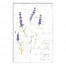 Happy Home Lavendar 12x18 Canvas Wall Art