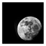 Gray Moon 16x16 Canvas Wall Art