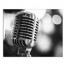 Black and White Vintage Microphone 16x20 Canvas Wall Art