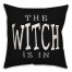 The Witch is in Pillow