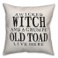 A Wicked Witch and Grumpy Toad Pillow