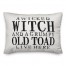 A Wicked Witch and Grumpy Toad Pillow