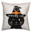 Don't be a Scardy Cat Pillow