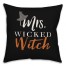 Mrs. Wicked Witch Pillow