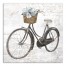 Vintage Floral Bike 30x30 Canvas Wall Art