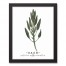 Watercolor Sage 11x14 Black Framed Canvas
