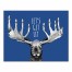 Let's Get Lit Moose 11x14 Tabletop Canvas