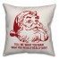 Tell Me What You Want Pillow