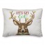 Let's Get Lit Pillow